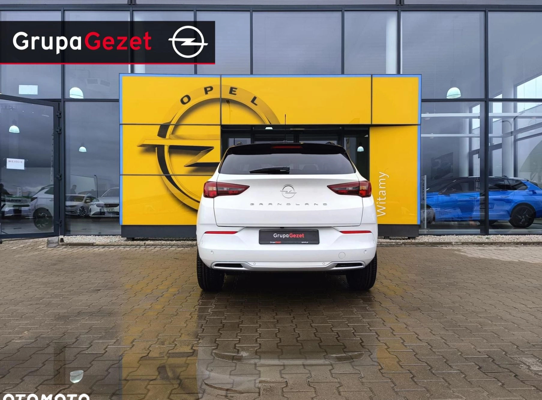Opel Grandland cena 135990 przebieg: 5, rok produkcji 2024 z Tarczyn małe 121
